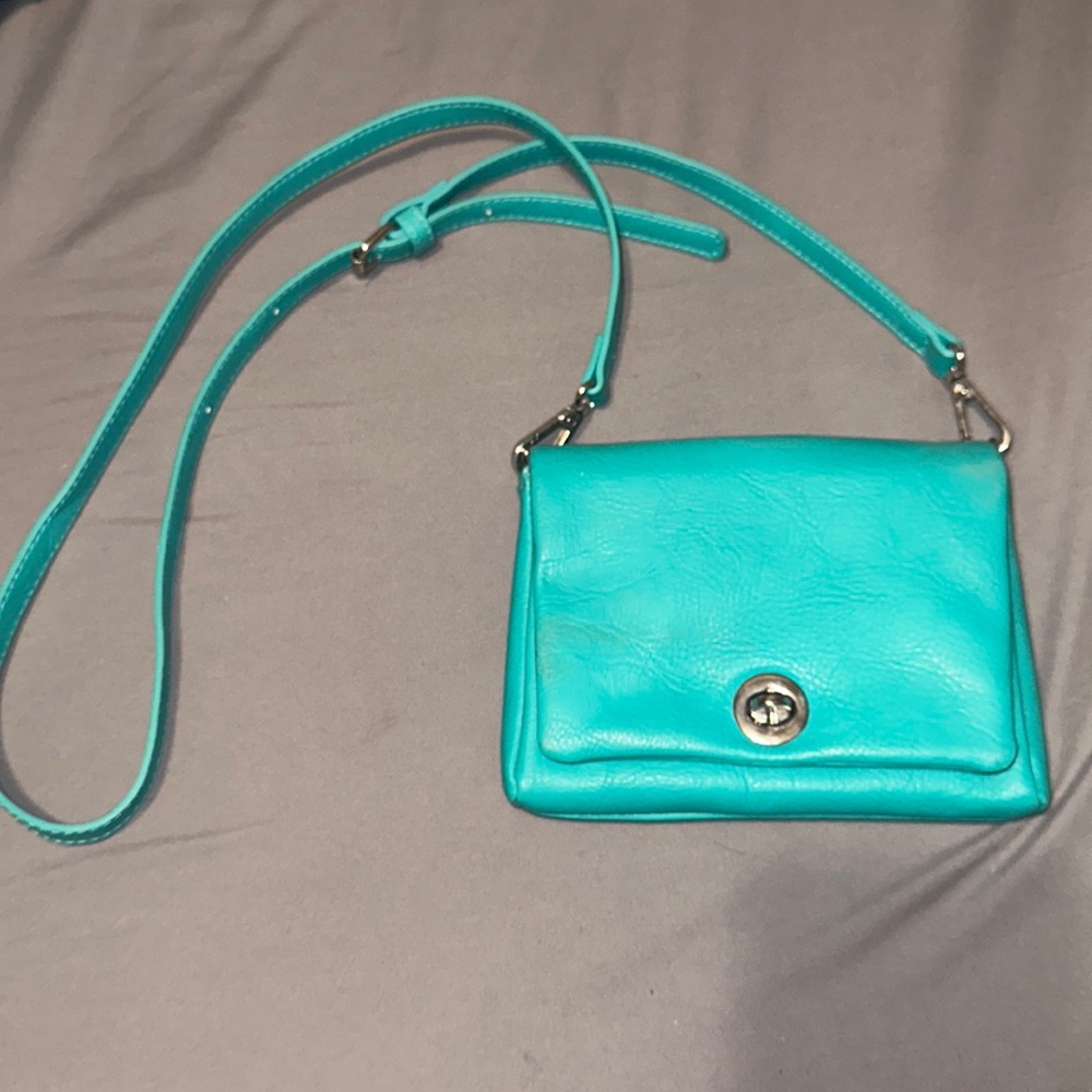 Charming Charlie’s Purse